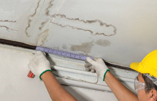 Reliable Water Damage contractor in Sunset, UT by Water Damage Irwin